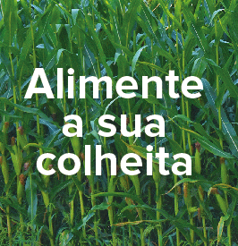 Soyadubos banner 265