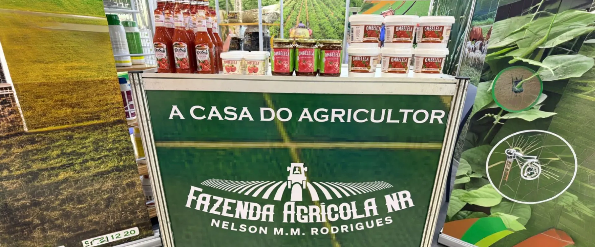 De Dombe Grande ao mercado: produtores de tomate e Grupo Adérito Areias reforçam a transformação nacional