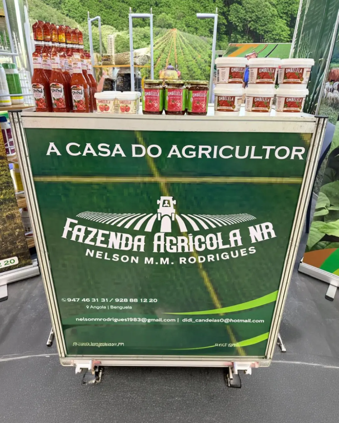 De Dombe Grande ao mercado: produtores de tomate e Grupo Adérito Areias reforçam a transformação nacional
