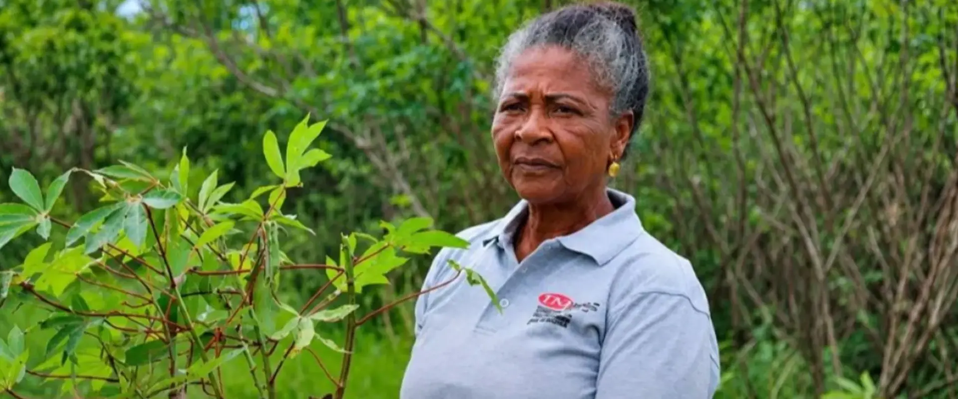 Da banca à mandioca- Teresa Mariz, a “Rainha da Mandioca de Angola”, entre as 100 mulheres heroínas da FAO