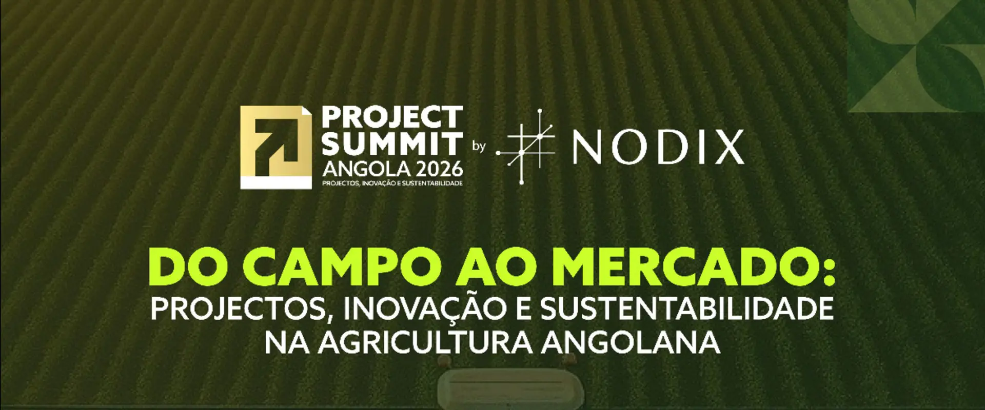 Do Campo ao Mercado: Projectos, Inovação e Sustentabilidade na Agricultura Angolana