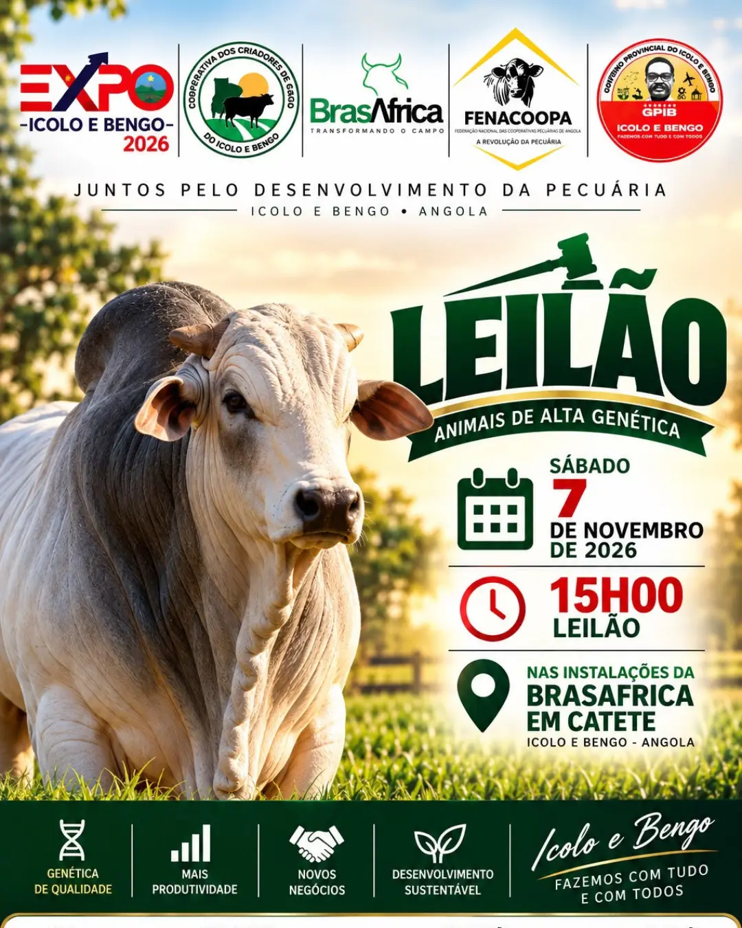Leilão de animais de alta genética 