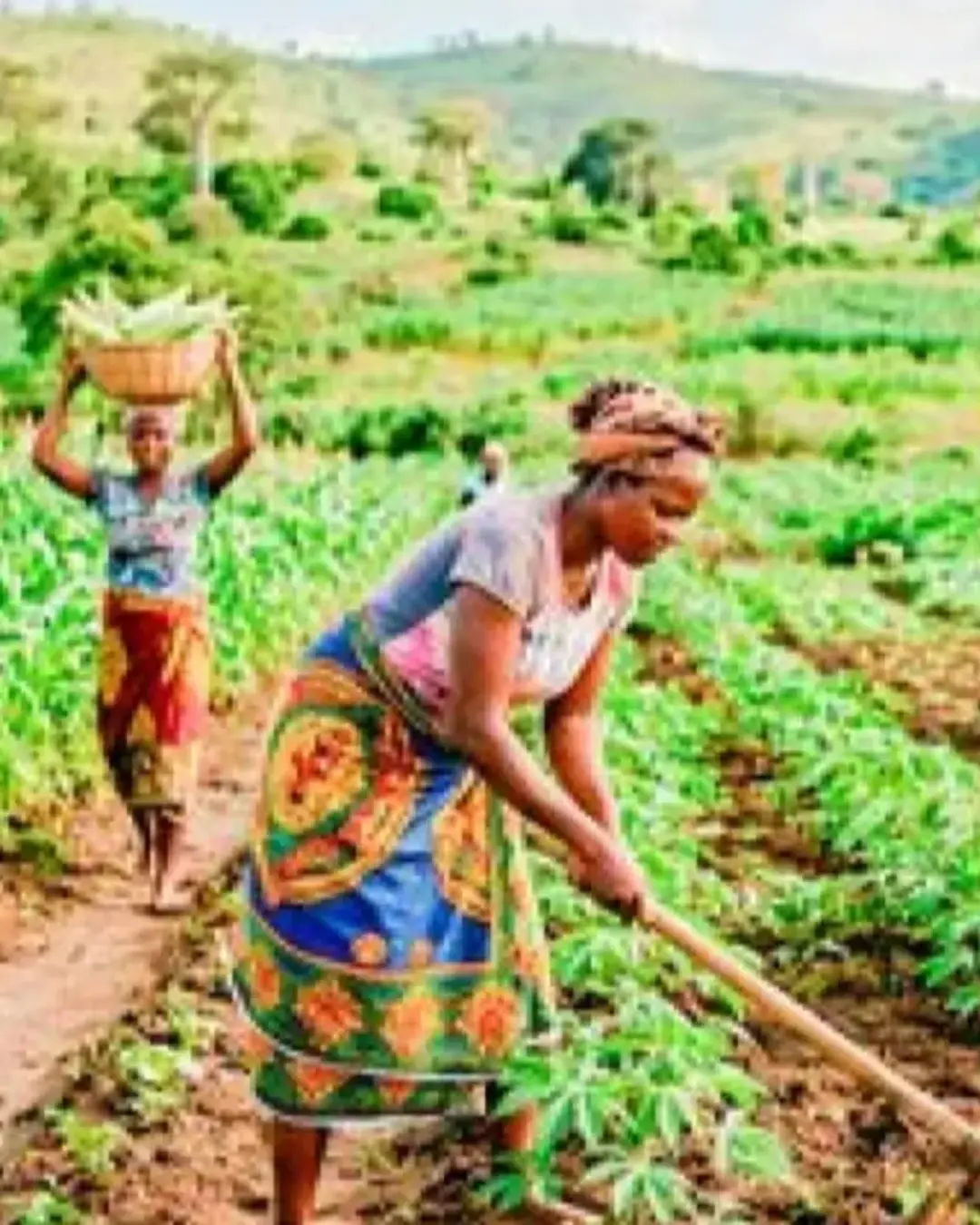 País conta com 90 mil toneladas de fertilizantes para ano agrícola 2026/2027