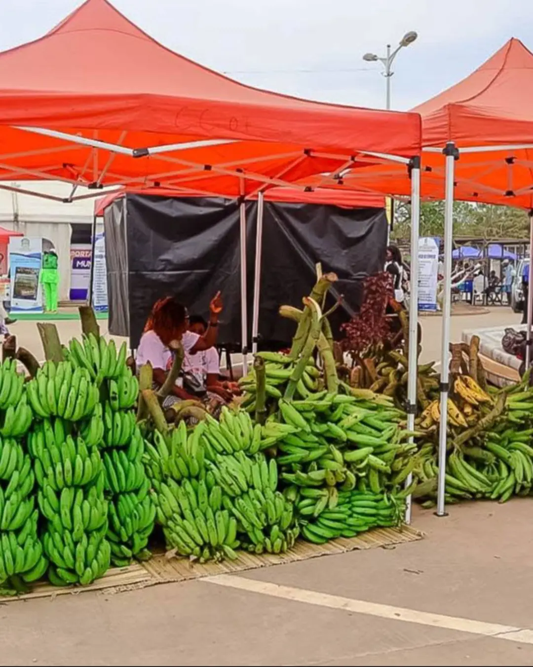 Expo Bengo 2026 reune mais de 600 expositores