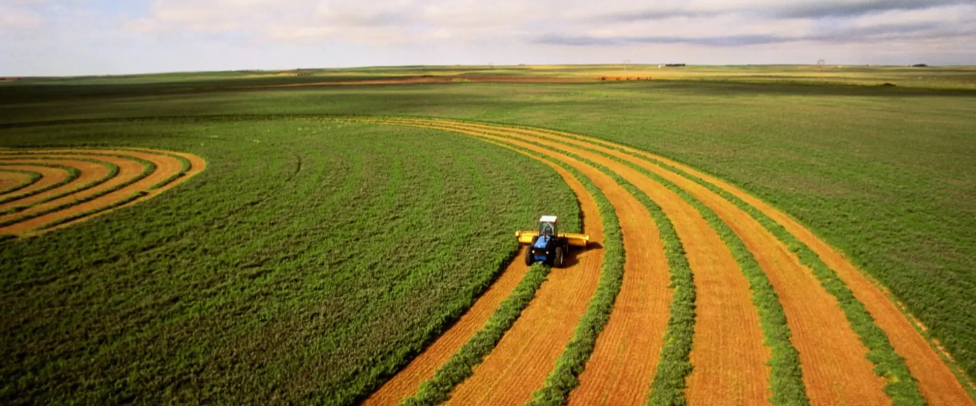 Portugal oferece transferência de tecnologia agrícola a Angola na feira Agritech de Luanda.