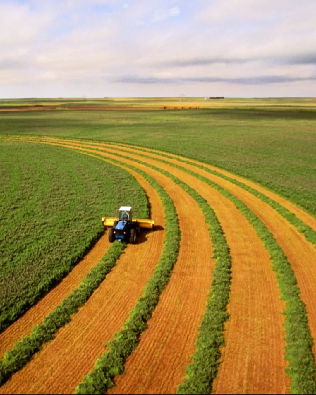 Portugal oferece transferência de tecnologia agrícola a Angola na feira Agritech de Luanda.