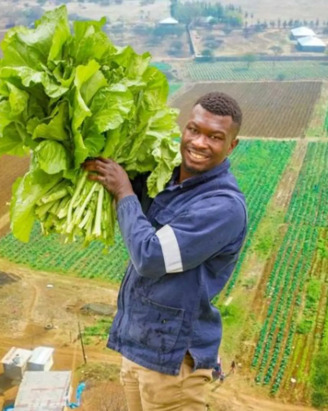 Agricultor sul-africano transforma negócio agrícola após vender 10 mil couves em três dias