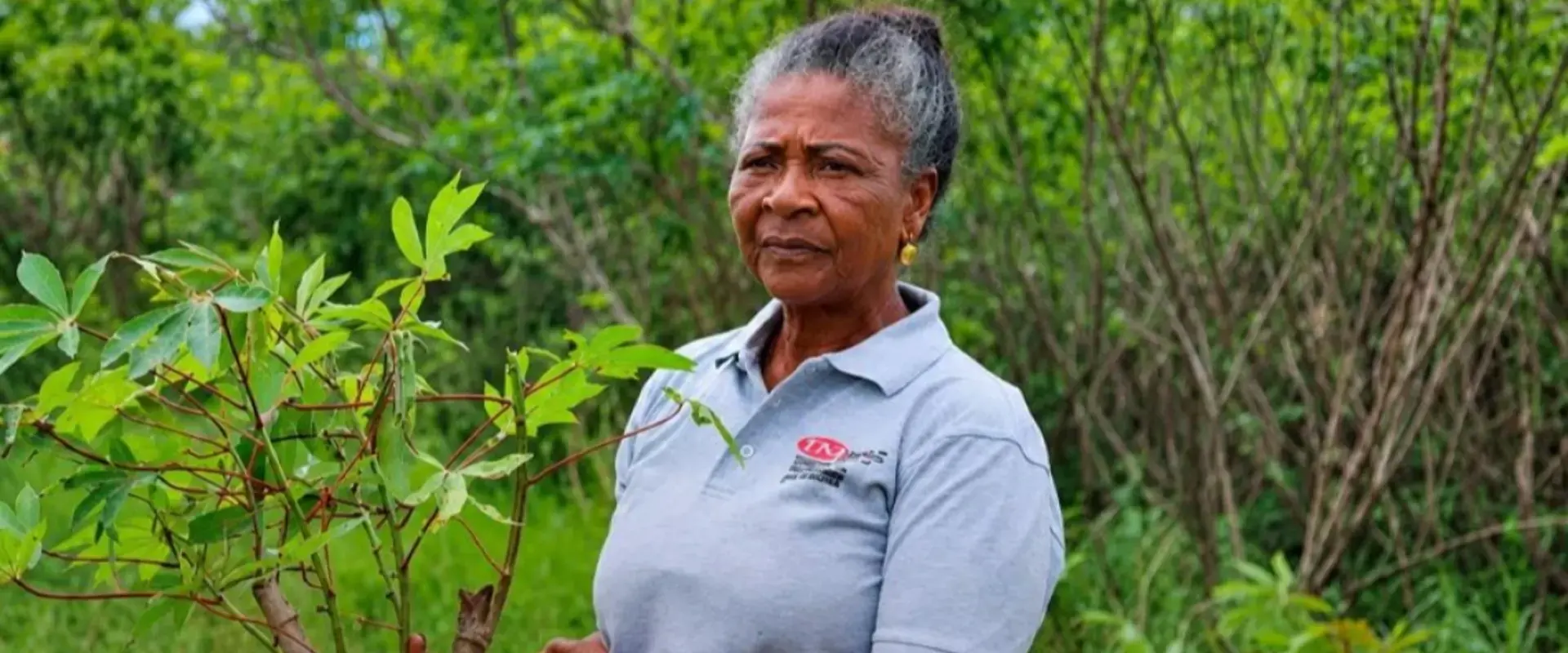 Da banca à mandioca: Teresa Mariz, a “Rainha da Mandioca de Angola”, entre as 100 mulheres heroínas da FAO