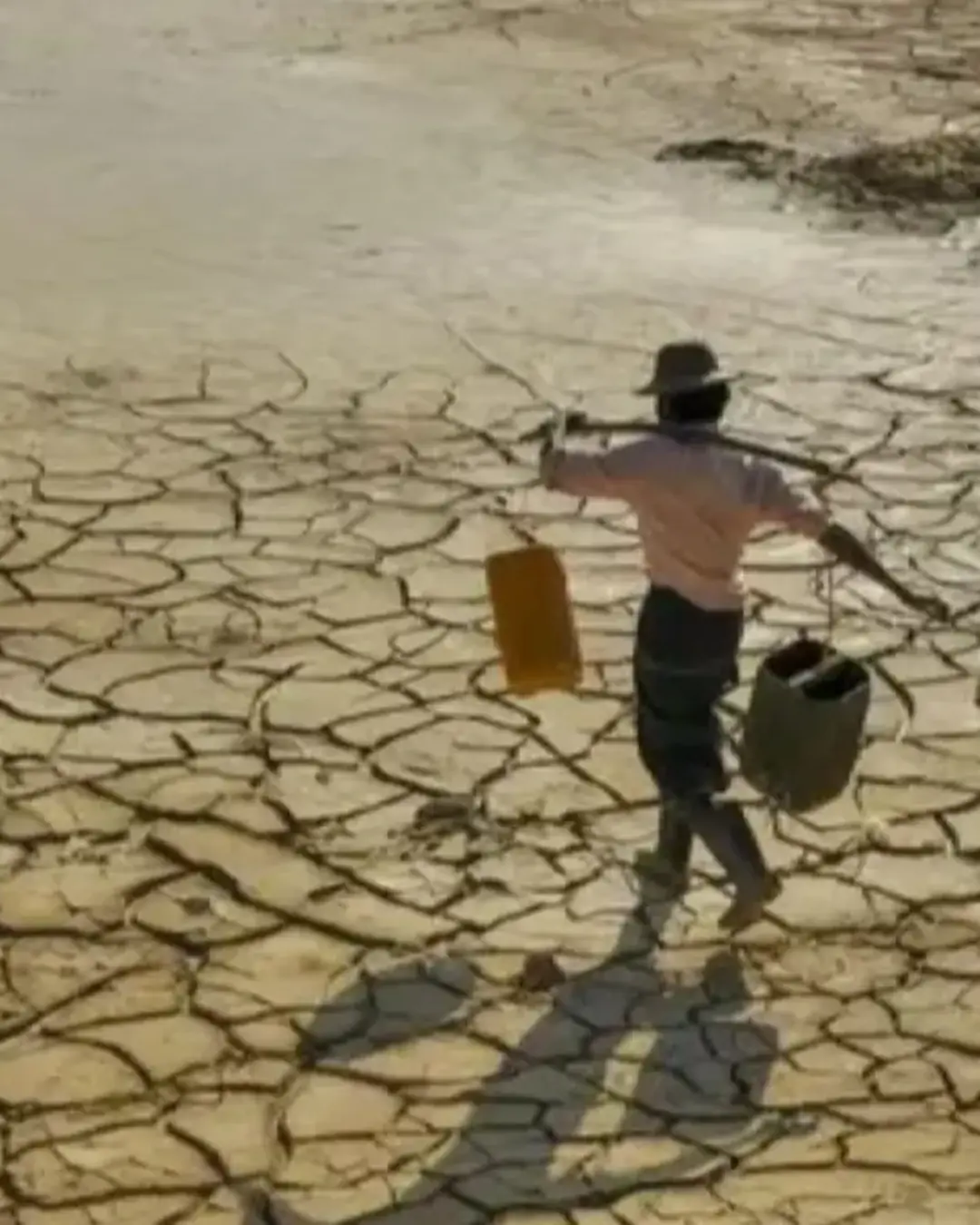 COP17 na Mongólia coloca seca, degradação dos solos e segurança alimentar no centro do debate global