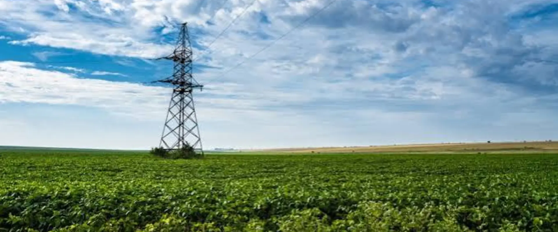 ENDE identifica 60 fazendas para expansão eléctrica no Huambo
