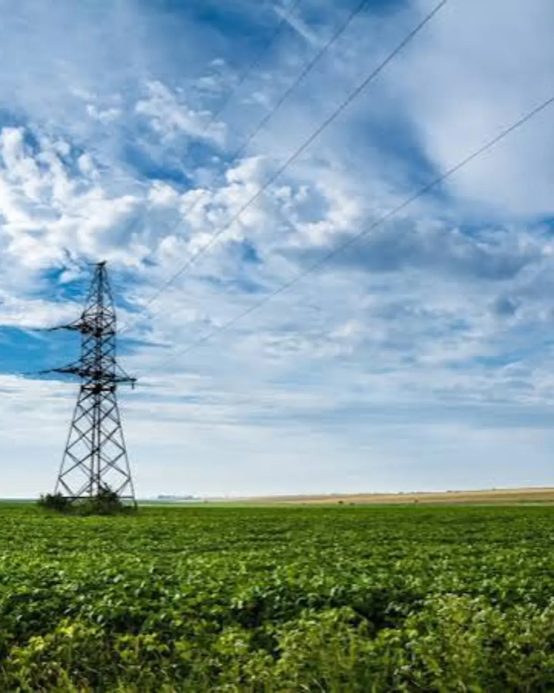 ENDE identifica 60 fazendas para expansão eléctrica no Huambo