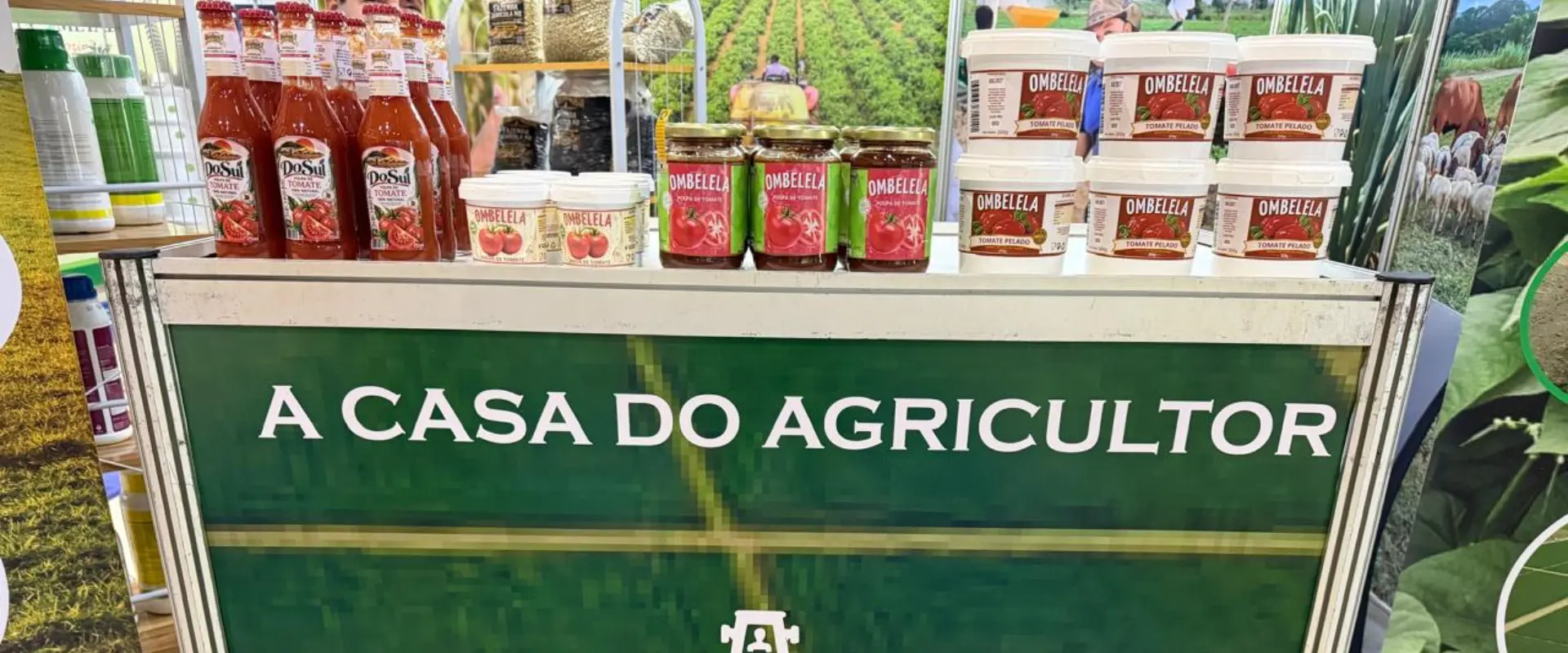 De Dombe Grande ao mercado: produtores de tomate e Grupo Adérito Areias reforçam a transformação nacional