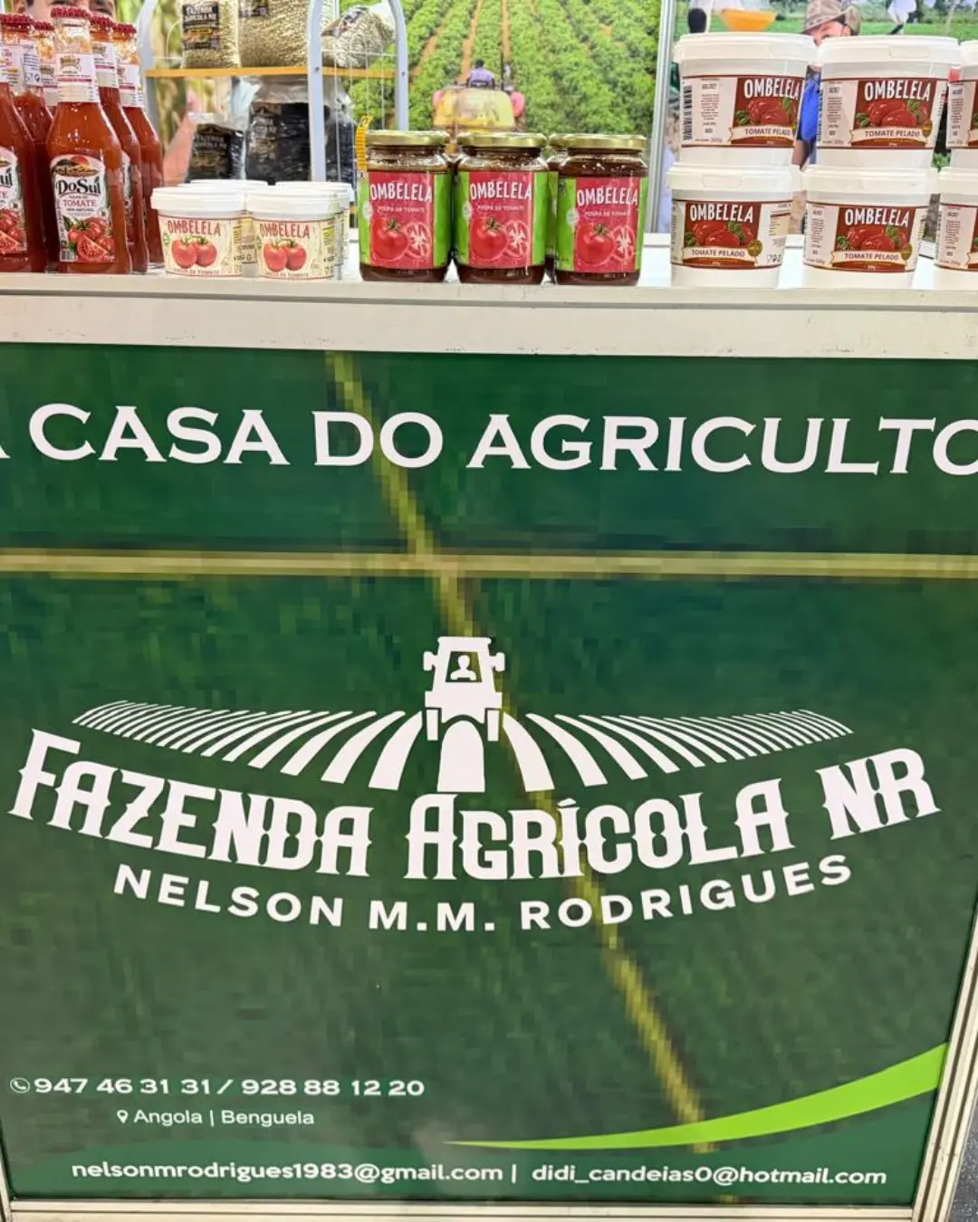 De Dombe Grande ao mercado: produtores de tomate e Grupo Adérito Areias reforçam a transformação nacional